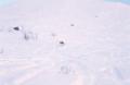 Image sudndalen-2004-01/l_09.jpg