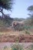 Image tanzania-2006-07/AA_05.jpg